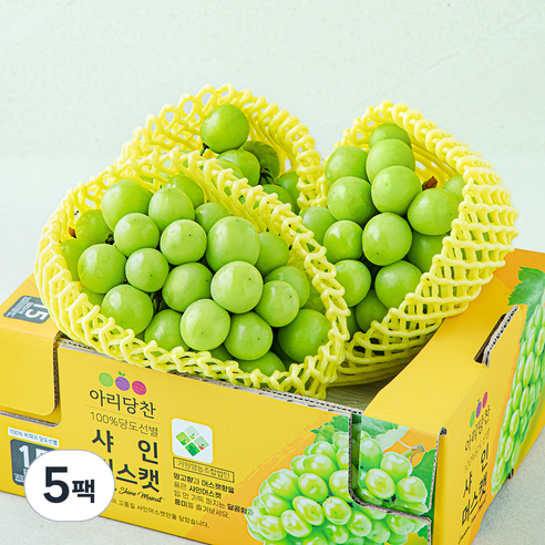 아리당찬 비파괴 당도선별 샤인머스캣, 1kg, 5팩