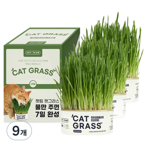 펫팀 고양이 캣그라스, 새싹보리, 9개