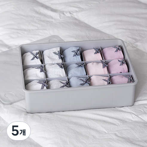 이즈리빙 뚜껑있는 플라스틱 속옷정리함 15칸, 그레이 + 반투명, 5개