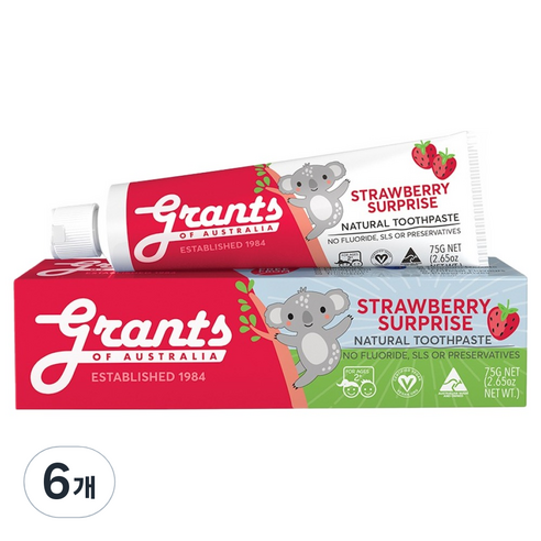 그란츠 아동용 스트로베리 서프라이즈 치약 불소Free, 75g, 6개