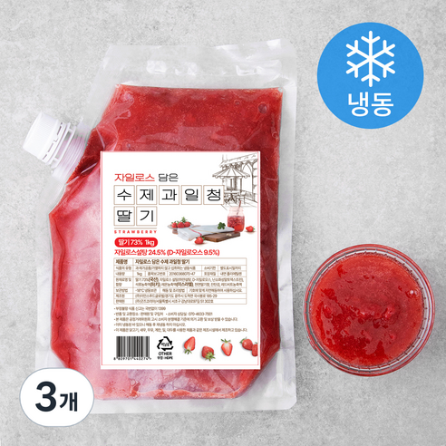 자일로스 담은 수제과일청 딸기 (냉동), 1kg, 3개