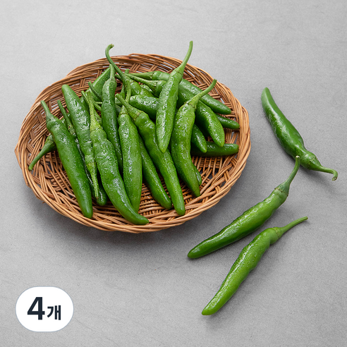 친환경 청양고추, 300g, 4개