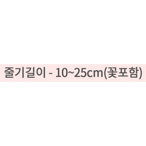 당신의 공간에 로맨스를 더하다