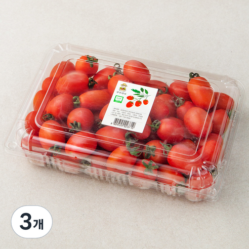 광식이농장 GAP 인증 대추 방울 토마토, 1kg, 3개