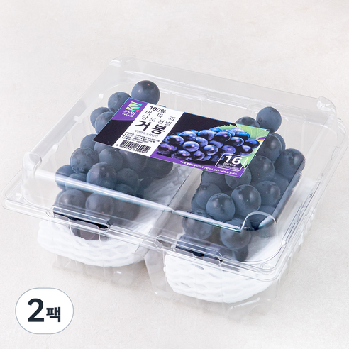 가원 비파괴 당도선별 한송이 거봉 포도, 600g, 1팩