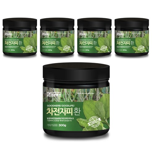 조은약초 프리미엄 차전자피환, 300g, 5개