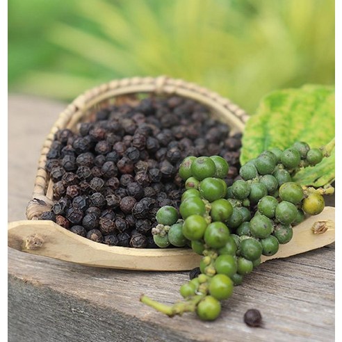 미식가를 사로잡는 깊고 풍부한 향, 라플랜테이션 블랙 캄폿 통후추