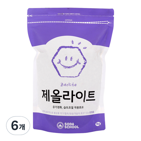 소다스쿨 탈취제 제올라이트 실내탈취제 리필, 1kg, 6개