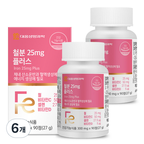 대웅생명과학 철분 25mg 플러스 27g, 90정, 6개