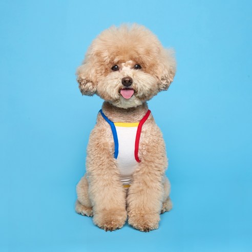 플로트 콤비 강아지 나시, 화이트