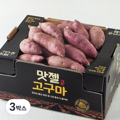 맛젤 꿀밤고구마, 3kg(중), 3박스