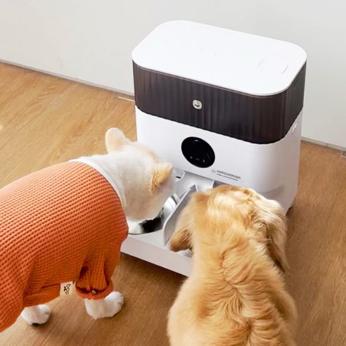 헤이홈 IoT 반려동물 카메라 스마트 펫 자동 급식기, 5L, 혼합색상