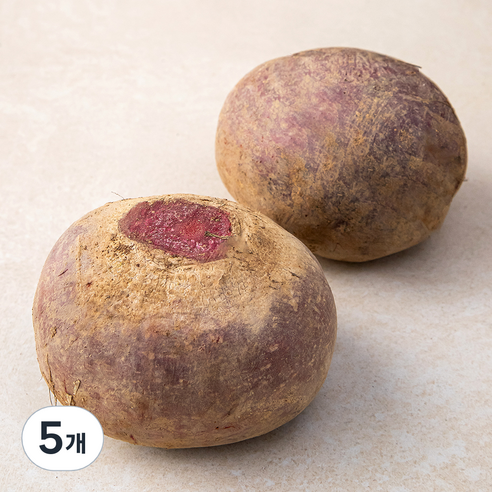 국내산 비트, 1kg, 5개