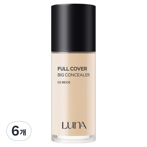 루나 롱래스팅 풀 커버 빅 컨실러 40g, 2호 베이지, 6개