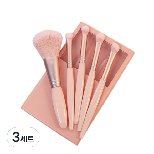 디에스 휴대용 멀티 브러쉬 5종 세트, 코랄, 3세트