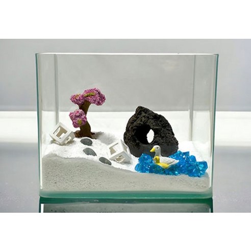 작은 공간에 펼쳐지는 아름다운 수중 세계, 미미네아쿠아 라운드 오픈 수조 어항