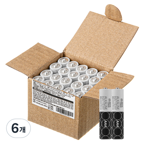 홈플래닛 알카라인 AAA건전지, 20개입, 6개