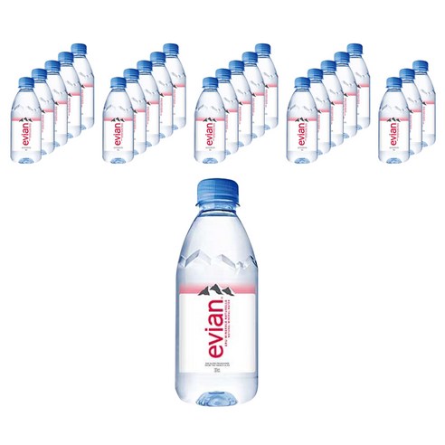 롯데칠성음료 에비앙 330ml, 24개