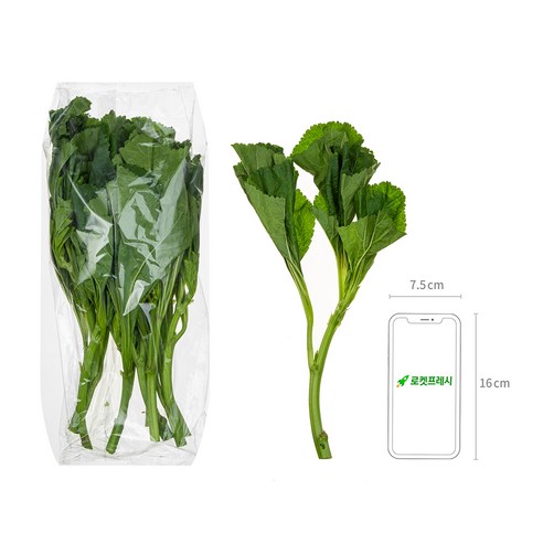 곰곰 아욱, 300g, 1개