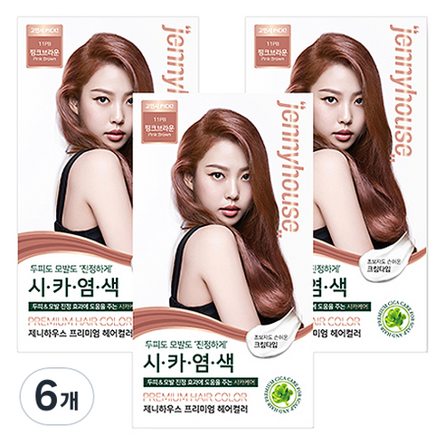 제니하우스코스메틱 프리미엄 헤어컬러 염모제, 핑크브라운 11PB, 6개