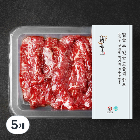 전통참한우 1+등급 샤브샤브용 (냉장), 300g, 5개
