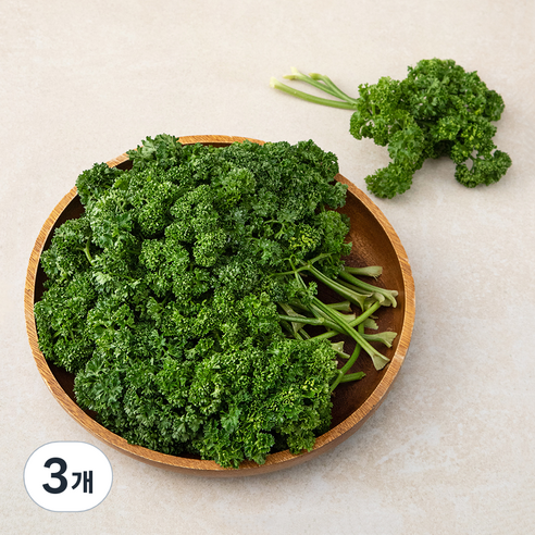 파슬리 국내산, 500g, 3개