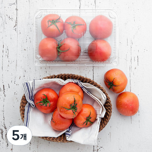 곰곰 완숙 토마토, 1kg, 5개