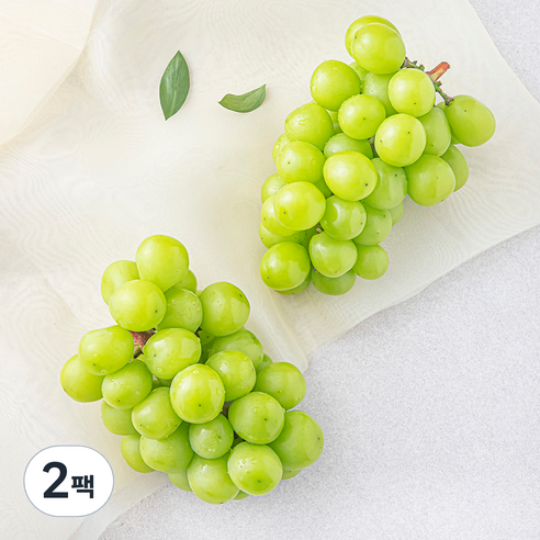 맛뜨레 샤인머스켓 1~2수, 1kg, 2팩