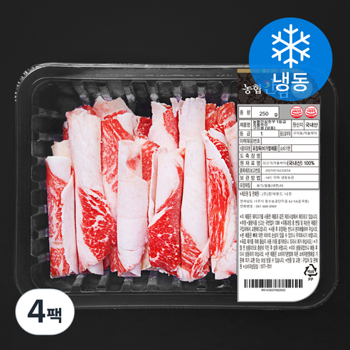 농협안심한우 차돌박이 1등급 구이용 250g (냉동), 4팩