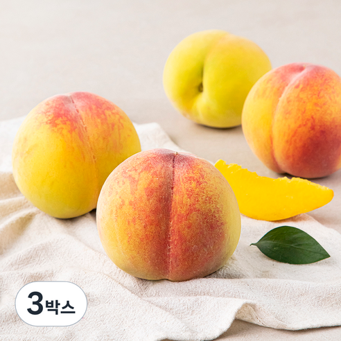 한옥토 국내산 GAP 인증 부드러운 황도복숭아, 1.25kg(4~6입), 3박스