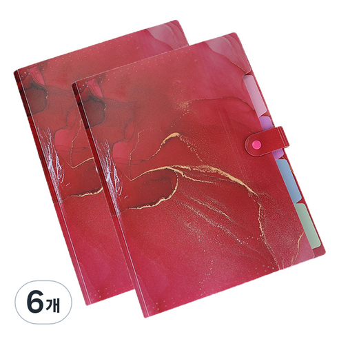 알로데 오로라 5페이지 A4 파일 32.5 x 24 cm, TYPE06레드, 6개