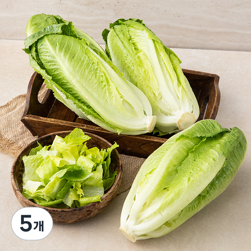국내산 로메인, 1kg, 5개