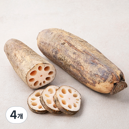 밀양 연근, 500g, 4개