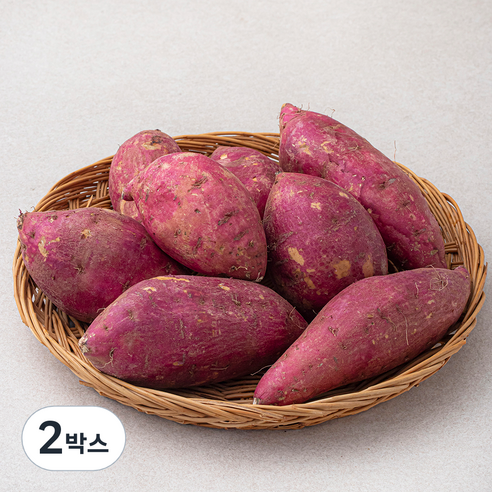 영암 호박고구마, 1500g, 2박스