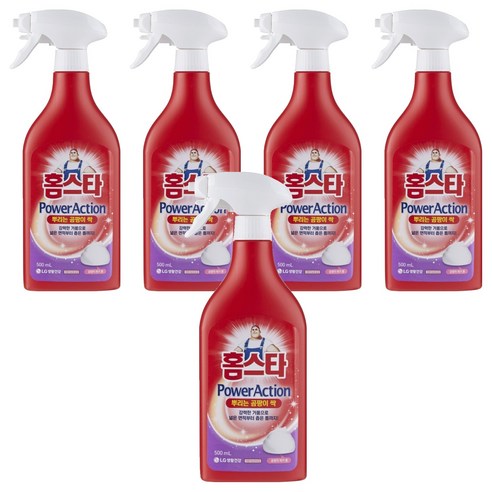 홈스타 파워액션 뿌리는 곰팡이 싹 세정제, 500ml, 5개