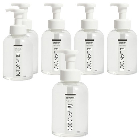 블랑101 젖병세정제 포밍 무향, 500ml, 6개
