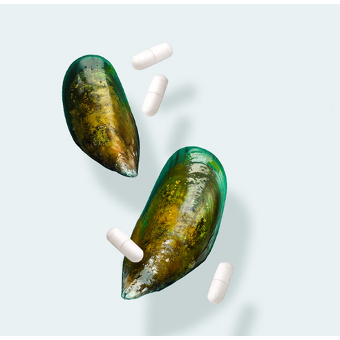건강한 관절과 뼈를 유지하기 위한 엔젯오리진 뉴질랜드 초록입홍합 17500 비타민D 4개월분 120정
