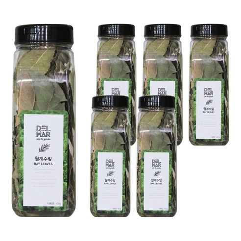 딜리셔스마켓 월계수 잎, 40g, 6개