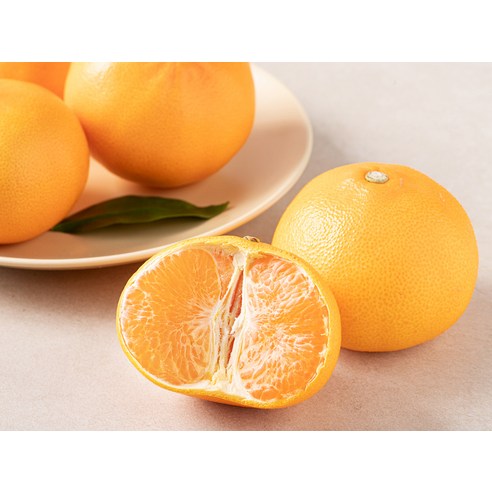 당도선별 천혜향, 달콤한 향연의 정수