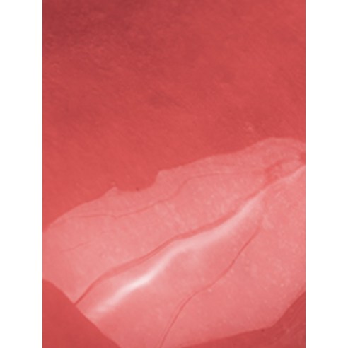 쌩얼에도 OK! 롬앤 쥬쥬브로 자연스럽게 예뻐지세요.