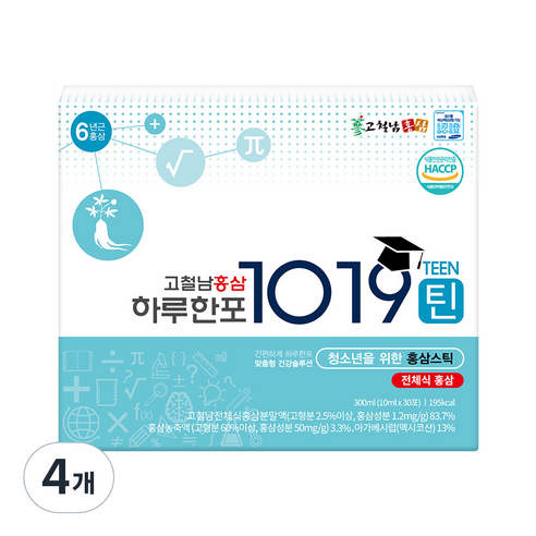 고철남홍삼 하루한포 1019틴 홍삼 스틱, 30회분, 300ml, 4개