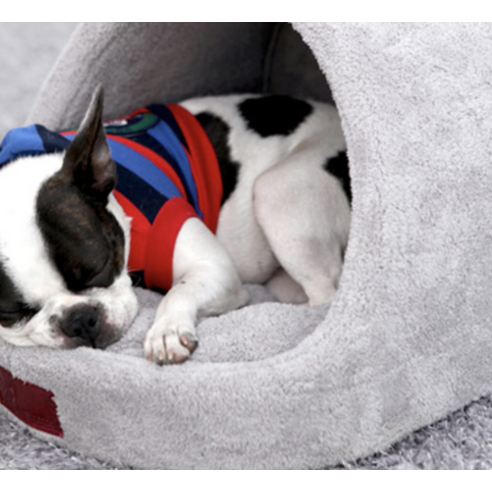 사랑하는 반려동물을 위한 완벽한 안식처