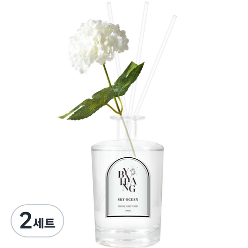바이향 블루밍 홈 디퓨저 500ml + 조화스틱 + 리드스틱 4p 세트, 스카이오션, 2세트