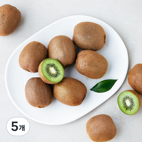 곰곰 제주 그린키위, 1kg, 5개
