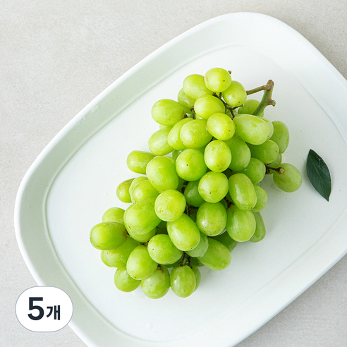 곰곰 호주산 씨없는 청포도, 5개, 450g