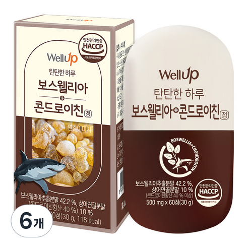 웰업 보스웰리아 상어연골 콘드로이친정, 60정, 6개