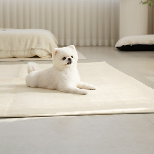 귀여움과 실용성이 완벽하게 조화된 반려동물용 강아지 모양 러그