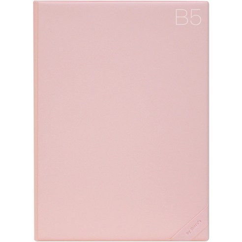 데얼스 도큐먼트 파일홀더 B5, 피치, 1개