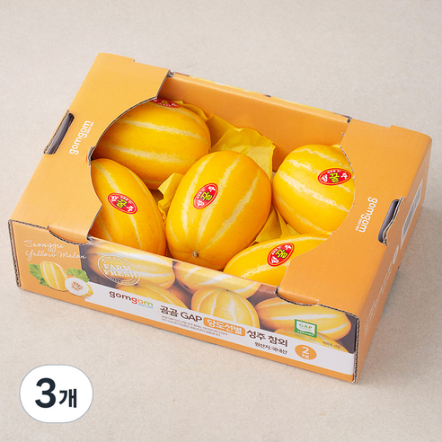 곰곰 GAP 당도선별 성주참외, 2kg, 3개