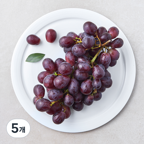 수플린 칠레산 적포도 잭살룻, 5개, 800g